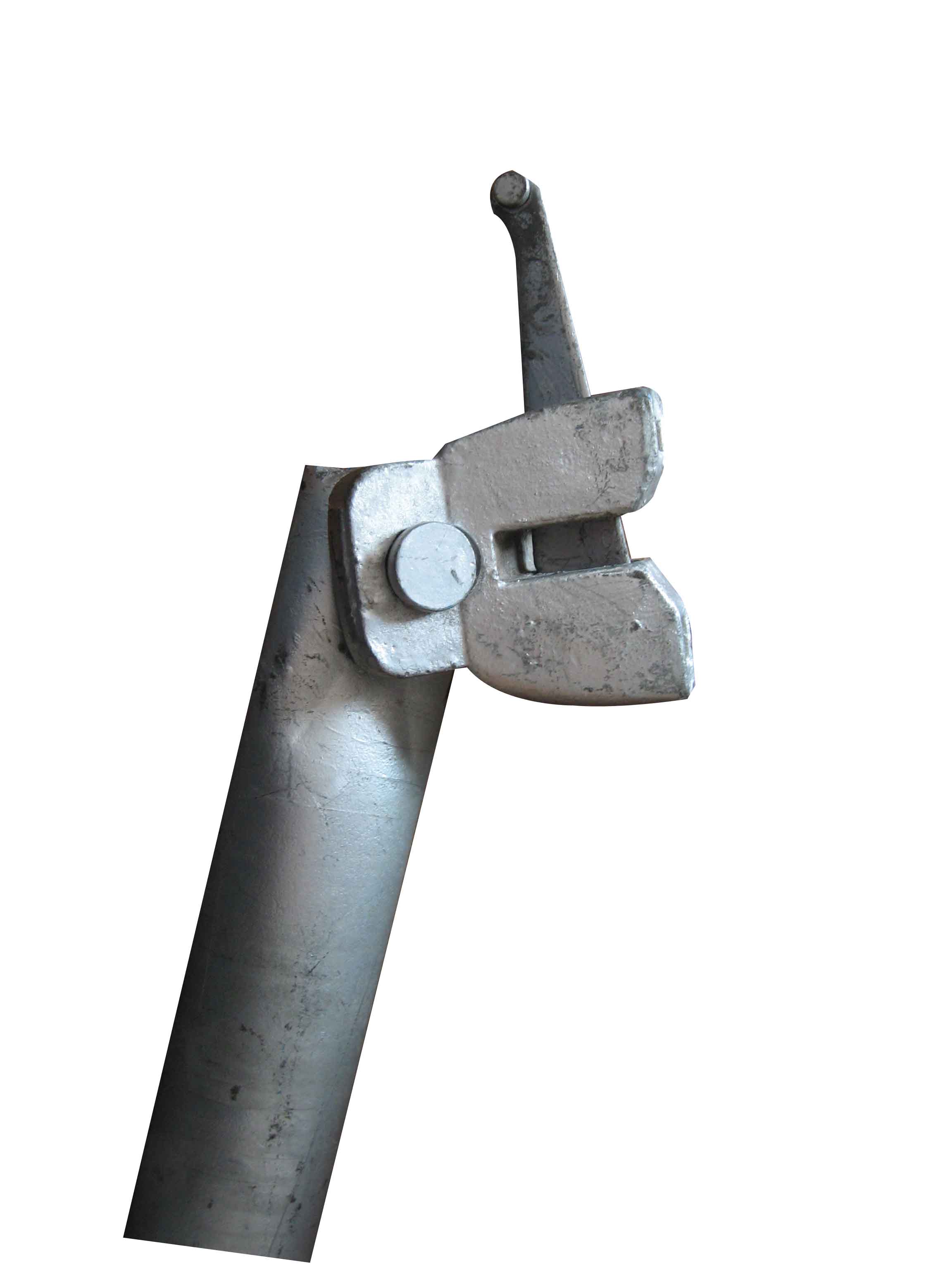 Brace